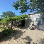 Kirayə (aylıq) 1 otaqlı Bağ evi, Pirşağı qəs., Sabunçu rayonu 1