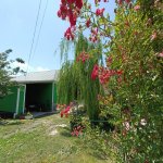 Kirayə (günlük) 4 otaqlı Həyət evi/villa İsmayıllı 17
