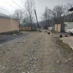 Satılır Torpaq Qəbələ 10