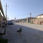 Продажа 2 комнатная Дома/Виллы, м. Короглу метро, пос. Маштага, Сабунчу район 28