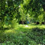 Продажа Участок Гябяля 6