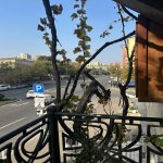 Kirayə (aylıq) 2 otaqlı Köhnə Tikili, Gənclik metrosu, Tibb Universiteti, Nəsimi rayonu 17