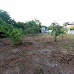 Satılır 3 otaqlı Həyət evi/villa İsmayıllı 25