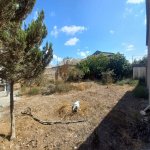 Продажа 3 комнат Дача, м. Короглу метро, пос. Балаханы, Сабунчу район 15