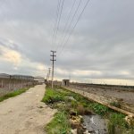 Satılır Torpaq, Zığ qəs., Suraxanı rayonu 14