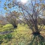 Продажа Участок Гябяля 8