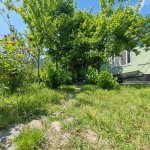Kirayə (günlük) 3 otaqlı Bağ evi Qəbələ 4