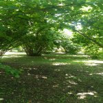 Satılır 4 otaqlı Bağ evi Oğuz 2