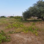 Satılır Torpaq, Novxanı, Abşeron rayonu 7