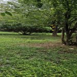 Satılır 3 otaqlı Həyət evi/villa Tərtər 14