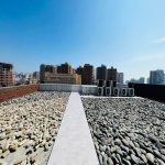 Kirayə (aylıq) 16 otaqlı Ofis, 28 May metrosu, Nəsimi rayonu 12