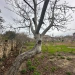 Satılır Torpaq, Şüvəlan, Xəzər rayonu 3