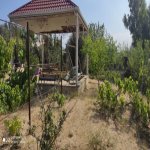 Kirayə (aylıq) 3 otaqlı Bağ evi, Nardaran qəs., Sabunçu rayonu 10