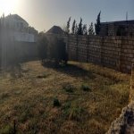 Satılır Torpaq, Novxanı, Abşeron rayonu 8