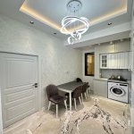 Satılır 2 otaqlı Yeni Tikili, Nəsimi rayonu 14