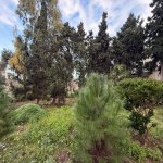 Продажа Участок, Мярдякан, Хязяр район 1