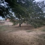 Satılır Torpaq, Novxanı, Abşeron rayonu 6