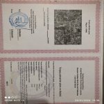 Satılır 4 otaqlı Bağ evi, Saray, Abşeron rayonu 27