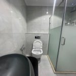 Kirayə (aylıq) 1 otaqlı Yeni Tikili, 28 May metrosu, Nəsimi rayonu 11