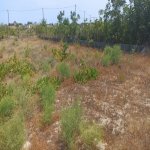 Satılır Torpaq, Kürdəxanı qəs., Sabunçu rayonu 4