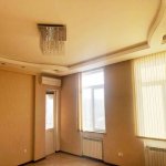 Kirayə (aylıq) 3 otaqlı Ofis, Nəsimi rayonu 3