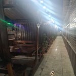 Kirayə (aylıq) Obyekt, Əhmədli metrosu, Xətai rayonu 4