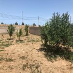 Продажа 3 комнат Дача, Шювалан, Хязяр район 9