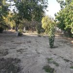 Satılır Torpaq, Avtovağzal metrosu, Sulutəpə qəs., Binəqədi rayonu 4