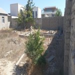 Satılır Torpaq, Buzovna, Xəzər rayonu 1
