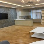 Kirayə (aylıq) 3 otaqlı Yeni Tikili, Nərimanov rayonu 13