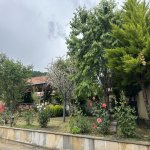 Kirayə (günlük) 4 otaqlı Həyət evi/villa İsmayıllı 7