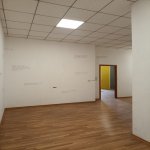 Kirayə (aylıq) 6 otaqlı Ofis, Nəsimi rayonu 5