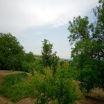 Satılır 3 otaqlı Həyət evi/villa İsmayıllı 3
