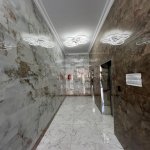 Kirayə (aylıq) 2 otaqlı Yeni Tikili, Gənclik metrosu, Tibb Universiteti, Nəsimi rayonu 28