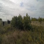 Satılır Torpaq, Sabunçu rayonu 16