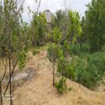 Satılır Torpaq Sumqayıt 6