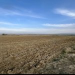 Satılır Torpaq, Türkan, Xəzər rayonu 3