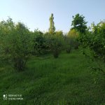 Satılır Torpaq Qəbələ 4