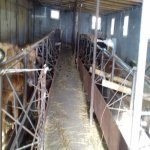 Satılır 10 otaqlı Həyət evi/villa Şamaxı 20