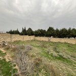 Satılır Torpaq, Saray, Abşeron rayonu 3