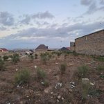 Satılır Torpaq, Məhəmmədli, Abşeron rayonu 2