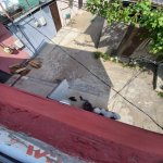 Satılır 2 otaqlı Həyət evi/villa Xırdalan 11