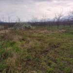 Satılır Torpaq Quba 2