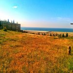 Продажа Участок, Новханы, Абшерон район 10