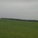 Satılır Torpaq Şəki 11