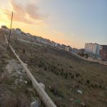 Satılır Torpaq, Saray, Abşeron rayonu 6