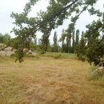 Satılır Torpaq Qusar 8