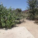 Satılır Torpaq, Abşeron rayonu 3