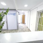 Kirayə (aylıq) 7 otaqlı Ofis, Yasamal rayonu 5