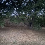 Satılır Torpaq, Novxanı, Abşeron rayonu 7